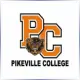 University of Pikeville - Presbyterian School Ranking